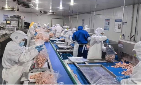 1725423660602904.png 04利源食品_副本.png